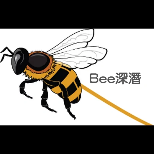 abelhas, beemel bee, bee hornet, abelha ou vespa, a abelha dos gráficos