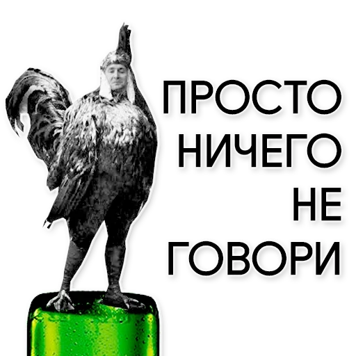 memes, mem of rooster, o galo come, águia de cabeça branca, rooster é um meme comum