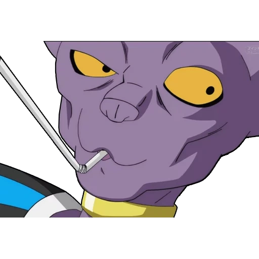 the beerus, beerus lacht, dragon ball, dragon ball birus, dragon ball super