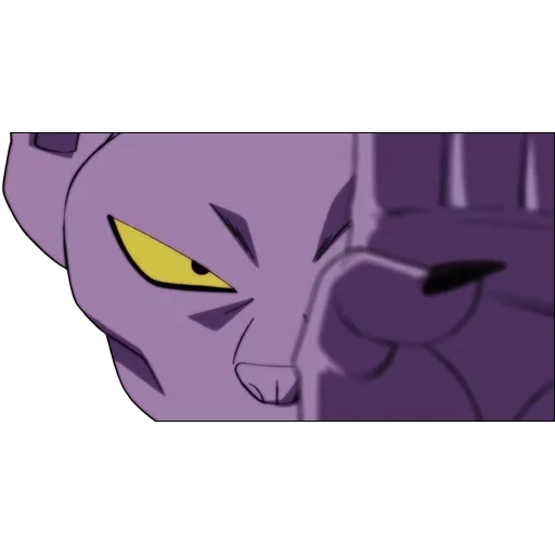 beerus, beerus hakai, beerus hakai zamasu, dragon ball birus, dragon ball super