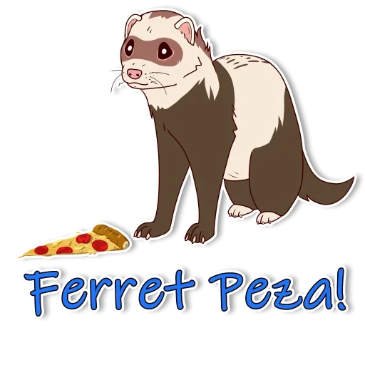 ferret, kartun ferret