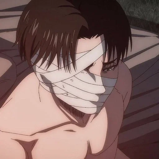 titãs de anime, levi ackerman, ataque dos titãs, levy ackerman, o ataque dos titanos cobri