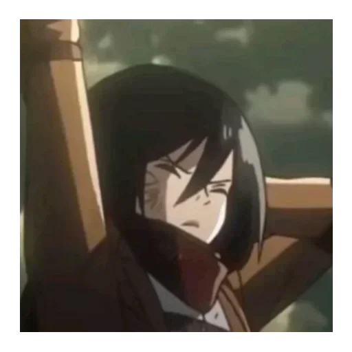 mikasa, ataque de mikas, mikasa ataque de los titanes, mikasa akkerman temporada 2, temporada de mikasa ackerman 3