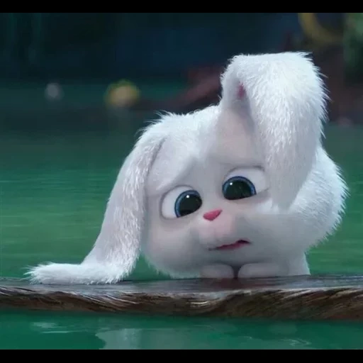 cartoons, secret life, rabbit snowball, cartoon about the bunny, the secret life of pets