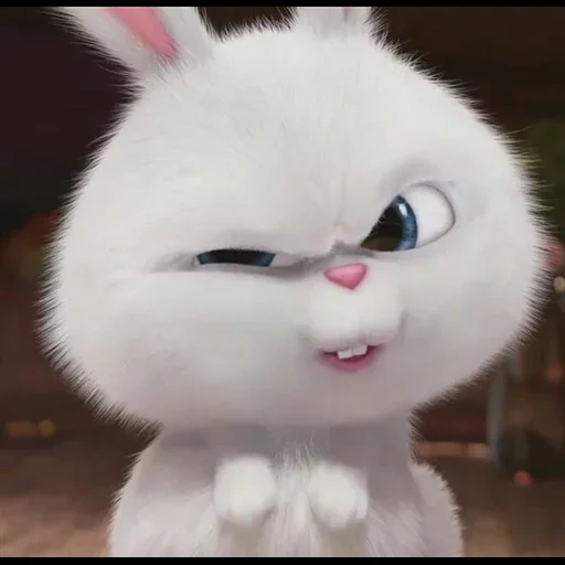 bola de neve de coelho, vida secreta do coelho, rabbit da vida de animais de estimação, little life of pets rabbit, última vida de animais de estimação rabbit snowball