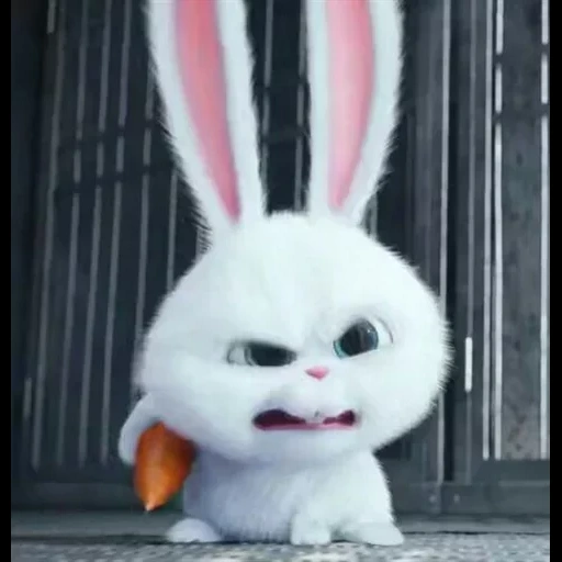 rabbit snowball, secret life home rabbit snowball, little life of pets rabbit, secret life of pets 1 rabbit, the secret life of pets rabbit is snow