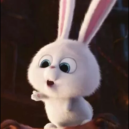 boule de neige de lapin, rabbit de dessin animé, lapin snowflow life secret, cartoon bunny secret life, petite vie des animaux de compagnie lapin