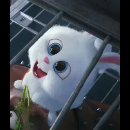 boule de neige de lapin, la vie secrète de la maison de la maison, la vie secrète des animaux, dernière vie des animaux de compagnie snowball, vie secrète des animaux de compagnie panda snowball rabbit