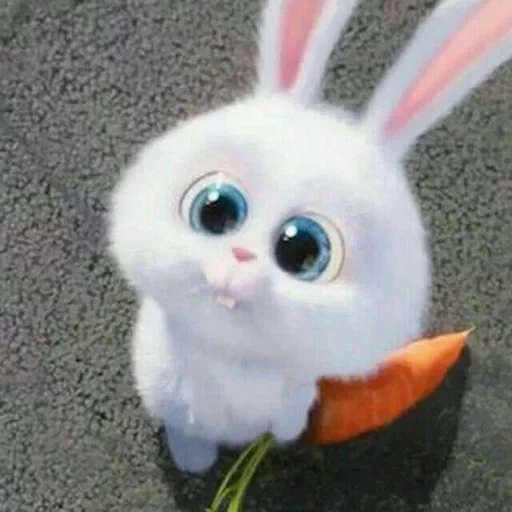 conejitos, bunny pregunta, conejito hambriento, foto del conejito, pequeña vida de mascotas conejo