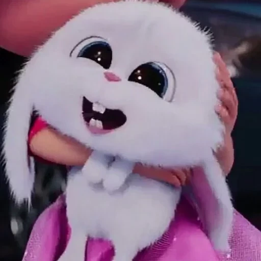 coniglio palla di neve, bunny schnuffel, cartone animato coniglietto palla di neve, la vita segreta della palla di neve del coniglio domestico, la vita segreta della palla di neve del coniglio domestico