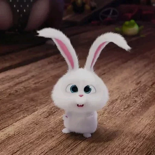 boule de neige de lapin, cartoon bunny secret life, little life of pets bunny, petite vie des animaux de compagnie lapin