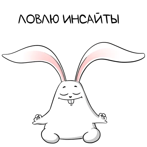 funny, rabbit, rabbit rabbit, bad rabbit, hellrabbit