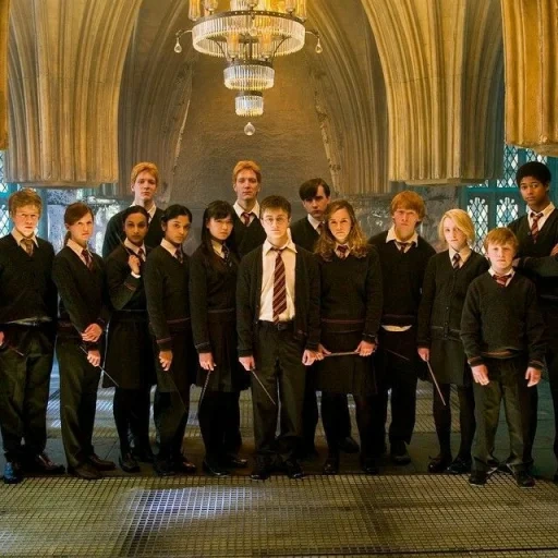 harry potter, metathers harry potter, harry potter harry potter, hermione granger dumbledore detachment, harry potter order of phoenix detachment dumbledore