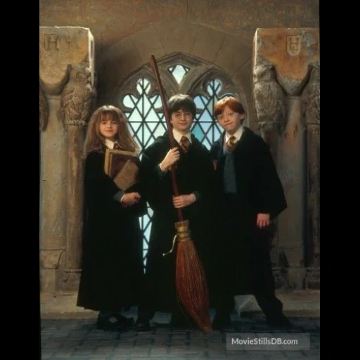 harry potter, harry potter 20, de harry potter, trio harry potter, locas de ouro harry potter