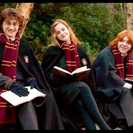 harry potter, hermine granger, hogwarts harry potter, harry potter gryffindor, gryffindor harry potter hermine ron