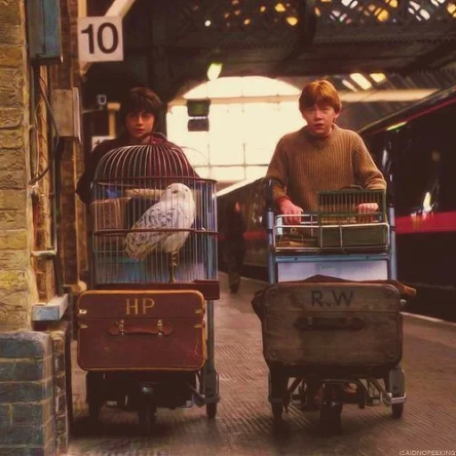 harry potter, harry potter ron, ron weasley harry potter, harry potter fred george, estación de reyes cross harry potter kadra