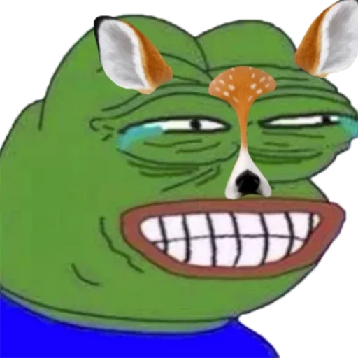 rospo di pepe, la rana di pepe, la rana di pepe, pepe frog, pepe frog memes