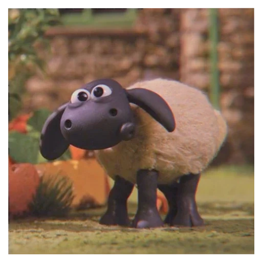 shaun le pecore, il gioco di lamb sean, barashka sean 2015, barashka sean timmy, lamb sean season 3