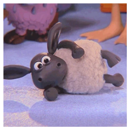 agnello, shaun le pecore, barati timmy, barashka sean 2015, cartone animato di agnello sean
