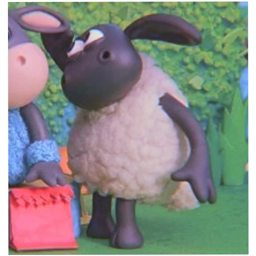 anak domba, shawn the sheep, timmy the sheep, kartun shawn sheep, timmy cartoon domba