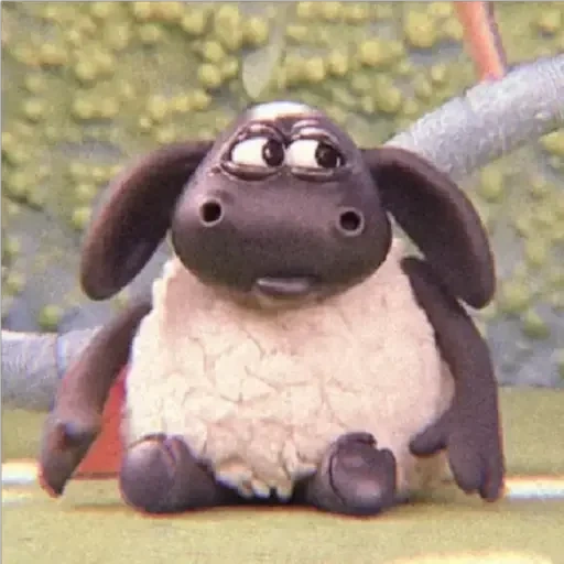 shawn the sheep, timmy the sheep, domba sean timmy, domba sean shirley, kartun shawn sheep