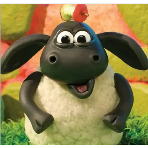 timmy time, shawn the sheep, timmy the sheep, domba sean timmy, domba shawn time time