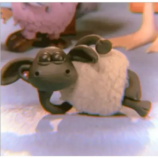 timmy time, shawn the sheep, timmy the sheep, sheep shawn 2015, domba sean timmy