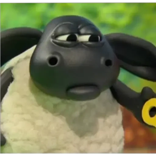 anak domba, shawn the sheep, timmy the sheep, kartun shawn sheep, timmy cartoon domba