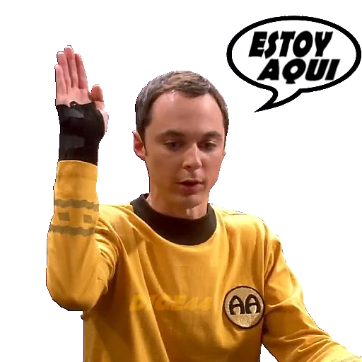 paquete, sheldon cooper, la teoría del big bang