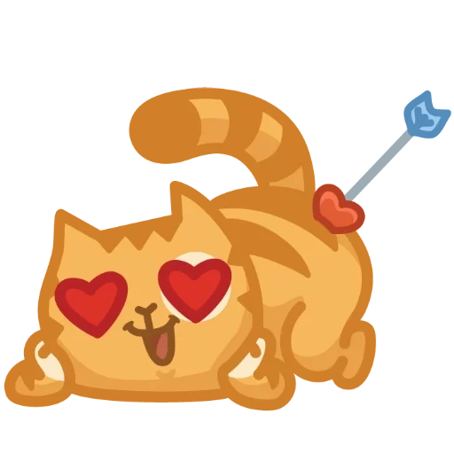 gato, pêssego, gato persik, o gato é um coração