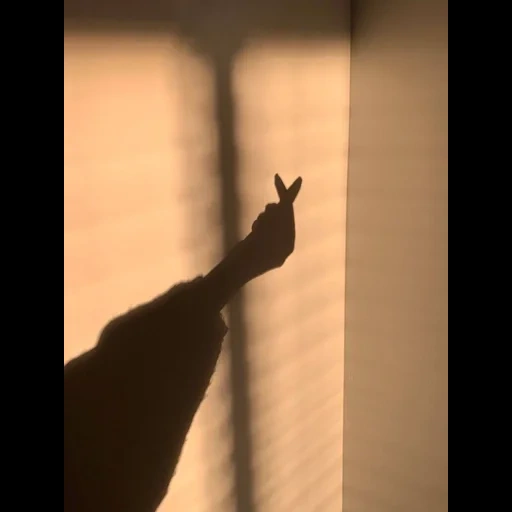 hand, shadows, human, darkness, shadow of aesthetics