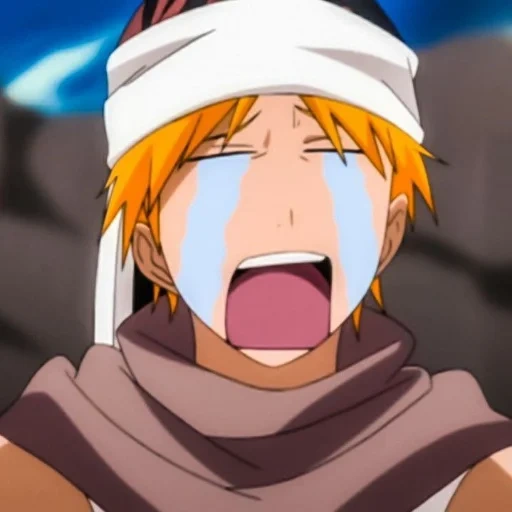 fugaz, blich vicki, blich ichigo, ichigo kurosaki, anime blich 287 episodio