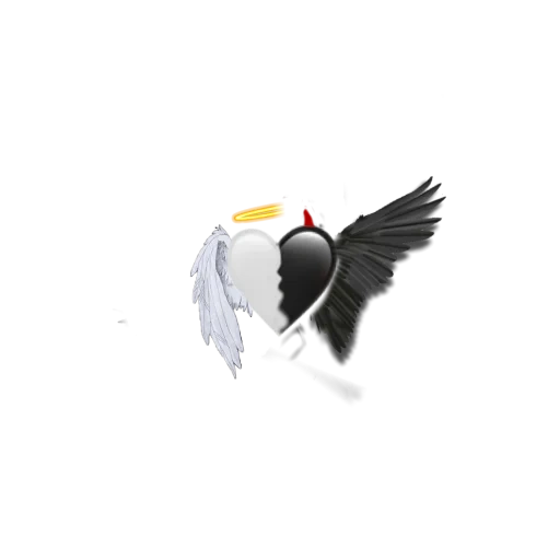 sayap, sayap putih, sayap malaikat, pigeon logo, sayap putih malaikat