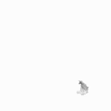 darkness, pure white, black and white, animation, gif design on white background