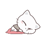 der kater, katze, die katze schläft, weiße katze, schlafende anime katze