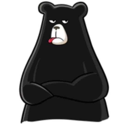 bear, darkness, black bear, black bear