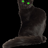 gato preto, o gato é preto, cat de animação, familiar gato preto, gato preto com olhos verdes