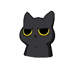 Black Cat Misty