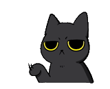cat, the black cat, schreckliche zeichen