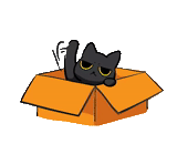 gatto, gatto, gatto, il gatto è la scatola, cat box