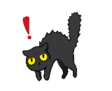 black cat, черный кот, злая кошка детей