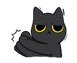 cat, cats, odaries à fourrure, le chat noir, animation