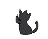 cats, silhouette de chat, le chat noir, silhouette de chat, contour du chat
