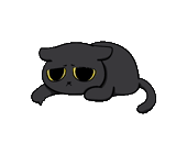 gato, gato, gatito negro, animación de gatos negros