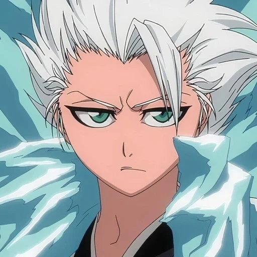 blich, blich toshiro, tosiro hitsugaya, grimmjou hitsugay, blich toshiro è chittsugay