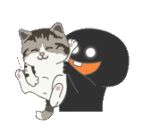 chat noir, kitty mrrr, art des mouches, club de chats, illustration d'un chat