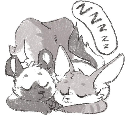 anime, rabbitpyl9, rabbit machiko, hewan hewan itu lucu, serigala jatuh cinta dengan kelinci