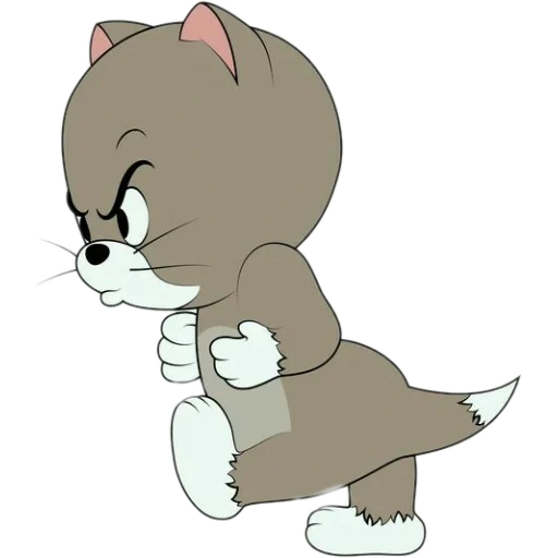 jerry, gatto, tom jerry, jerry stykels, kitten topsi tom jerry