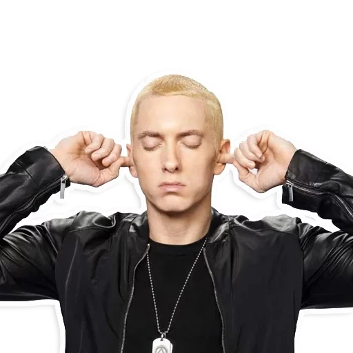 shop, aminam, eminem, eminem dr dre, aminum recording