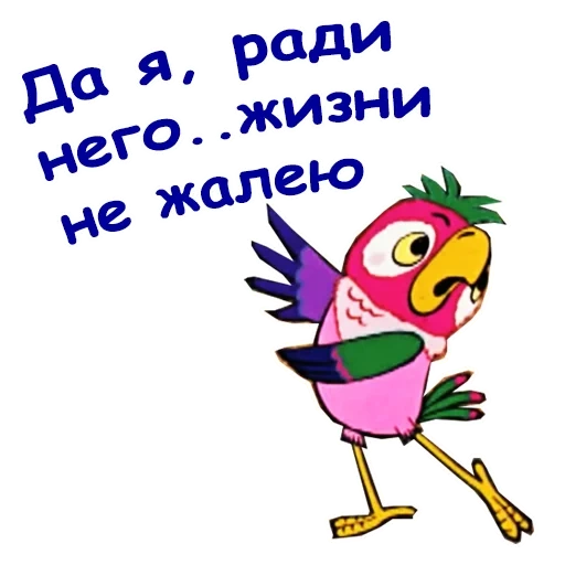 kesha, perroquet, parrot kesha, parrot kesha drôle, le retour du perroquet prodigue